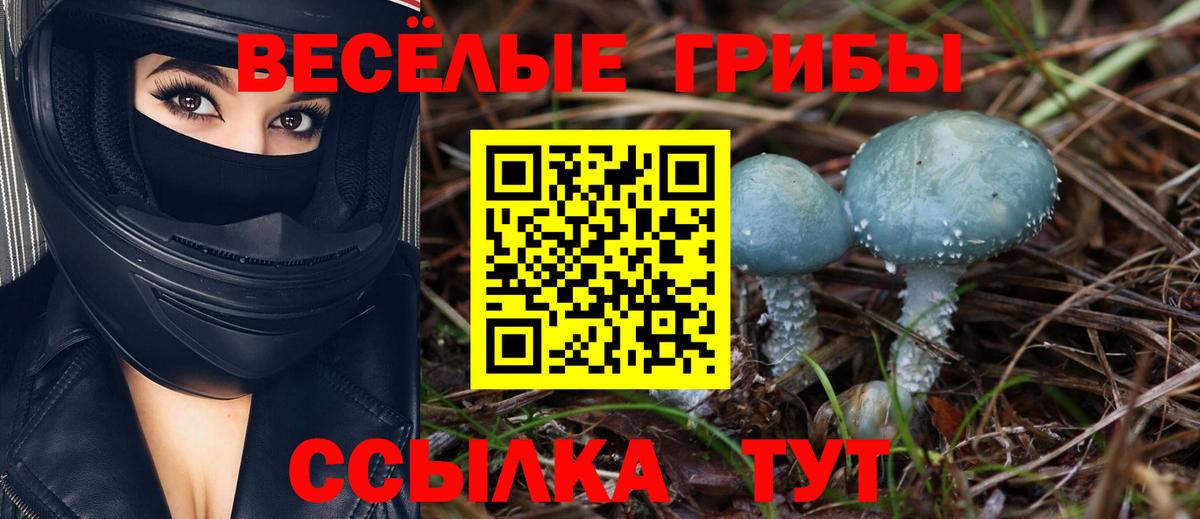 Псилоцибиновые грибы Magic Shrooms  Псилоцибиновые грибы прущие грибы  Москва 